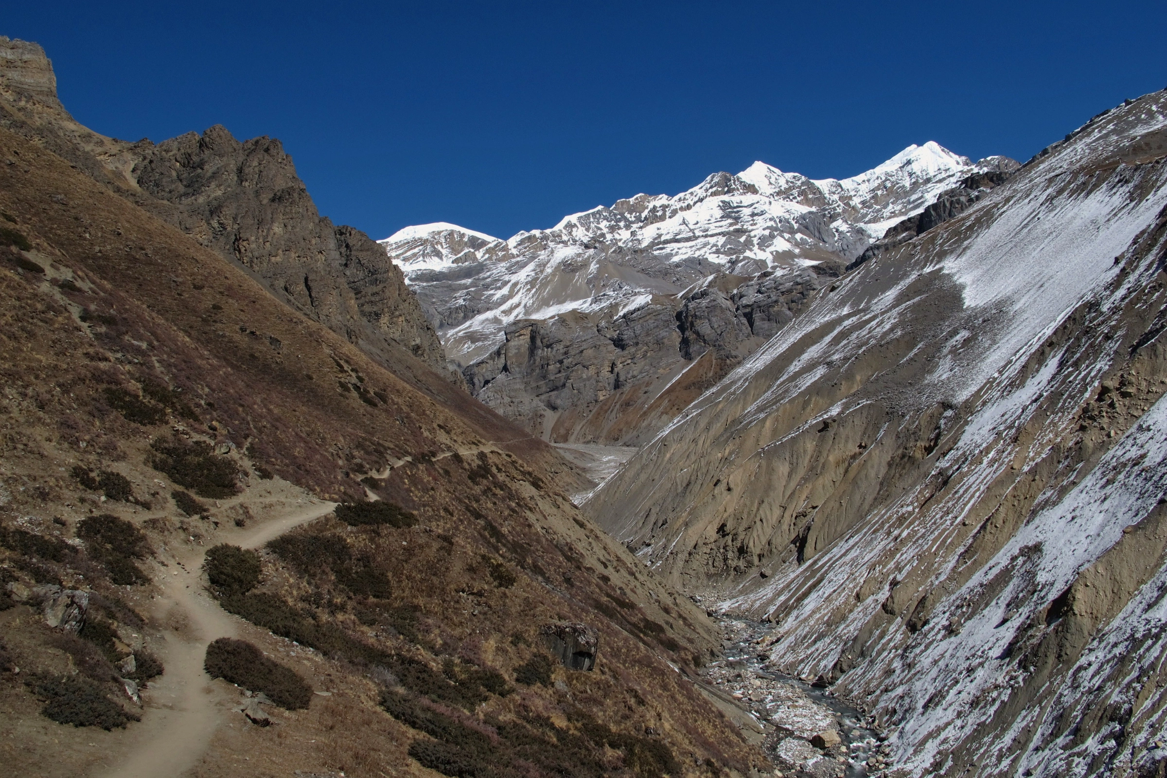 Phedi[1].webp